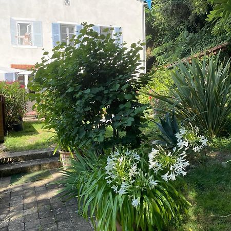 Les Agapanthes Bed & Breakfast Vaux-en-Beaujolais Екстериор снимка