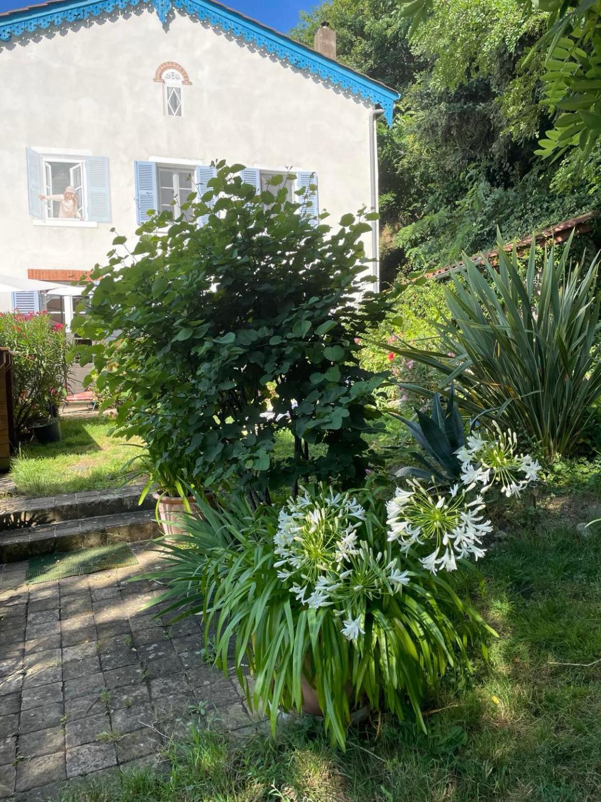 Les Agapanthes Bed & Breakfast Vaux-en-Beaujolais Екстериор снимка