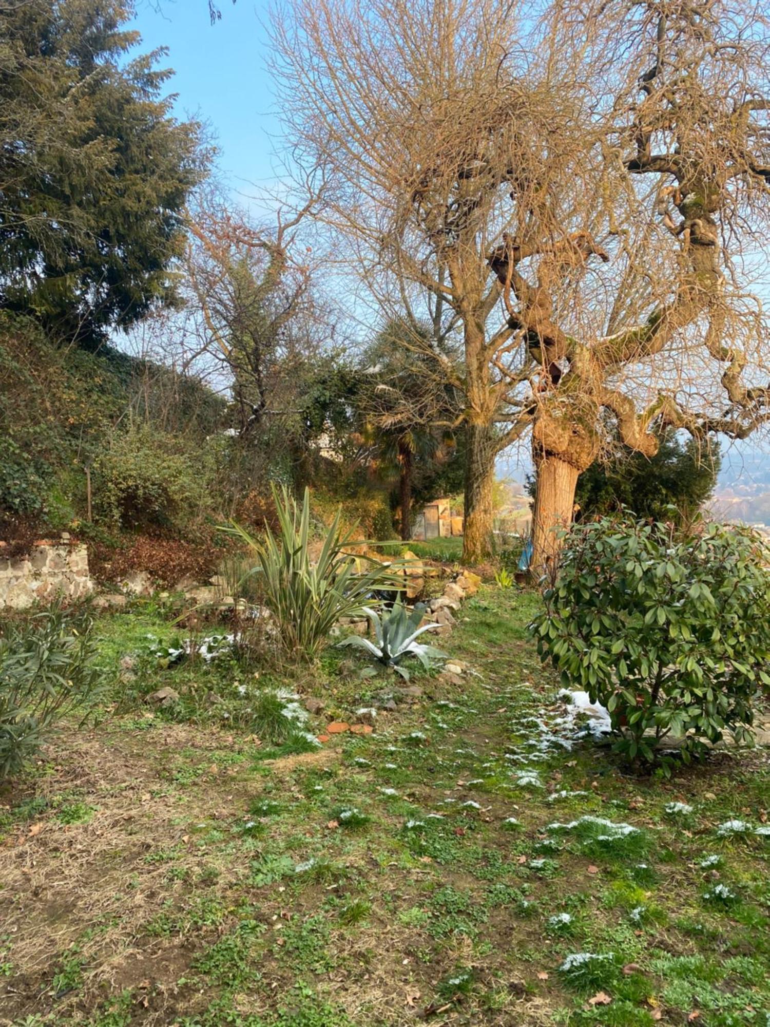 Les Agapanthes Bed & Breakfast Vaux-en-Beaujolais Екстериор снимка